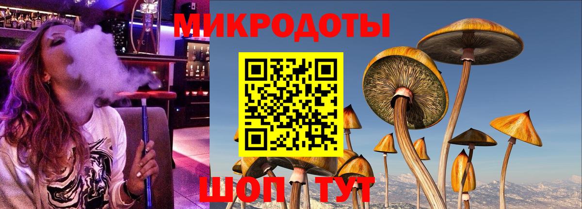 Галлюциногенные грибы прущие грибы  Галлюциногенные грибы мицелий  Вход с VPN  Карачаевск 