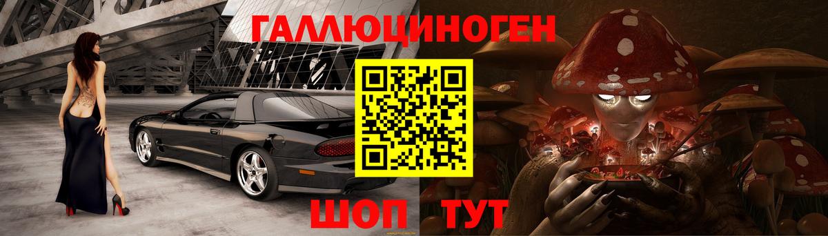 Псилоцибиновые грибы GOLDEN TEACHER Карачаевск